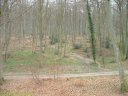 Forêt d'Arques (2)
