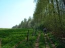 Chasse-Marée