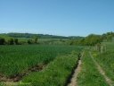 Torcy le Petit (Val du Bos 2)