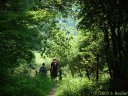 Chasse-Marée (Vertus)