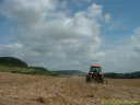 Cuverville sur Yères (Labourage)