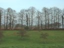 Bosc le Comte (Prairie)