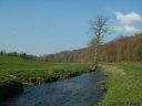Lammerville (Vienne 1)