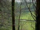 Lammerville (Vienne 2)