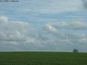 Plaine, Arbre et Ciel
