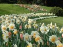 Jardin des Plantes (5)