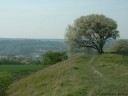 Oppidum