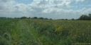 Héricourt (Chemin)