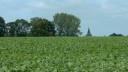 Ste Foy (Clocher 1)
