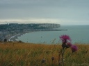 Mers (Fleurs, Plage)