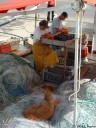 Quiberville (Pêcheurs)
