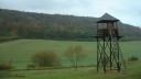 Forêt d'Eu (Tour)