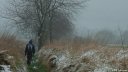 Bailleul Neuville (Chemin)