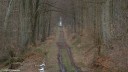 Haute Forêt d'Eu (Rte Centrale)