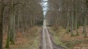 Forêt d'Eawy (Rte de St Hellier)