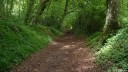 St Saëns (Chemin 1)