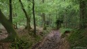St Saëns (Chemin 2)
