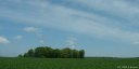 Champ, Bois et Ciel