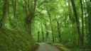 Mont de l'If (Route)