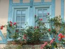 Argueil (Fenêtres)