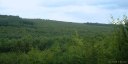 Croixdalle (Forêt 1)