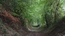 St Martin le Gaillard (Chemin 2)