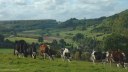 Bazinval (Grande Vallée)