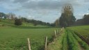 Fond d'Etrimont (2)