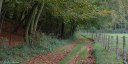 Bois du Mont Landrin