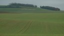 Vallée de l'Eaulne (Bois)