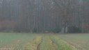 Basse Forêt d'Eu (Chemin)
