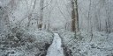 Dancourt (Bois)