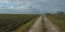 Cuverville sur Yères (Route)