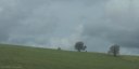 Montérolier (Trois Arbres)