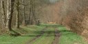 Forêt de Lyons (Chemin)