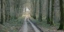 Varambeaumont (Chemin 2)