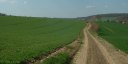 Quincampoix-Fleuzy (Chemin 1)
