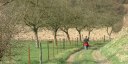 Quincampoix-Fleuzy (Chemin 2)