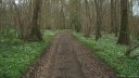 Le Bléquis (Chemin)