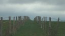 Héronchelles (Chemin)
