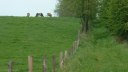 Catenay (Chemin 1)