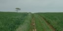 St Pierre le Vieux (Chemin 1)