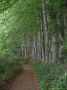 Bec de Mortagne (Chemin)