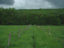 Tourville les Ifs (Sentier 2)