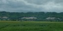 Sahurs (Falaises)