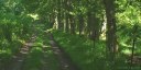 Pétreval (Chemin)
