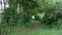 Bois Héroult (Chemin)