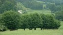 Vallée de l'Héronchelles