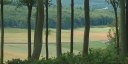 Forêt d'Eawy (Bréhoulles)