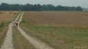 Mesnil Durdent (Chemin 1)